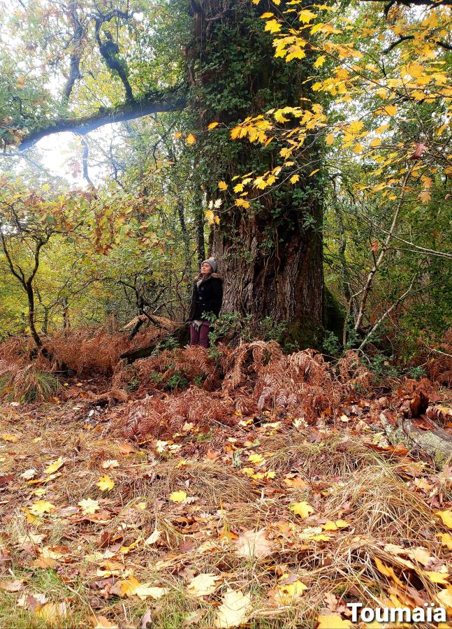 Rencontre avec un vénérable gardien lors d'un stage de chamanisme dans les Landes